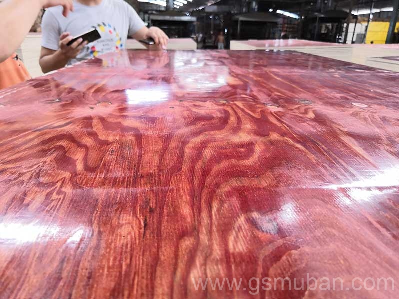 2025年建筑模板市場分析：機遇與挑戰并存！